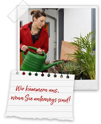 hausbetreuung_blumen_giessen